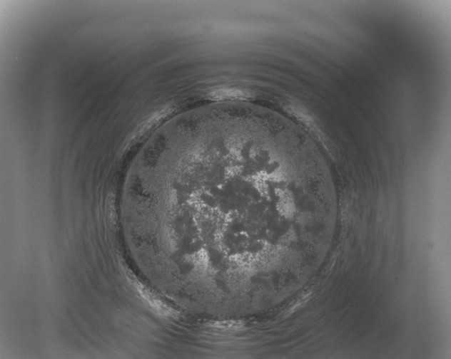 X0000080680353200612221148