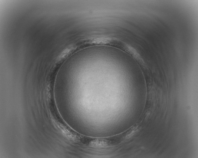 X0000080680354200612221148