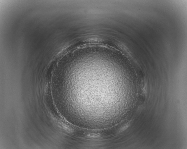 X0000080680355200612221148