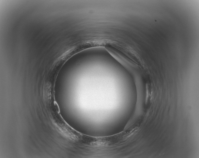 X0000080680356200612221148