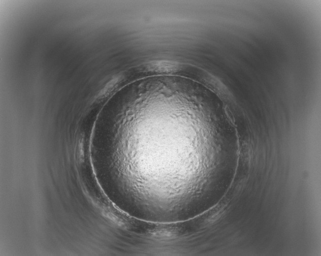 X0000080680358200612221148