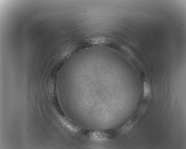 X0000080680372200612221149