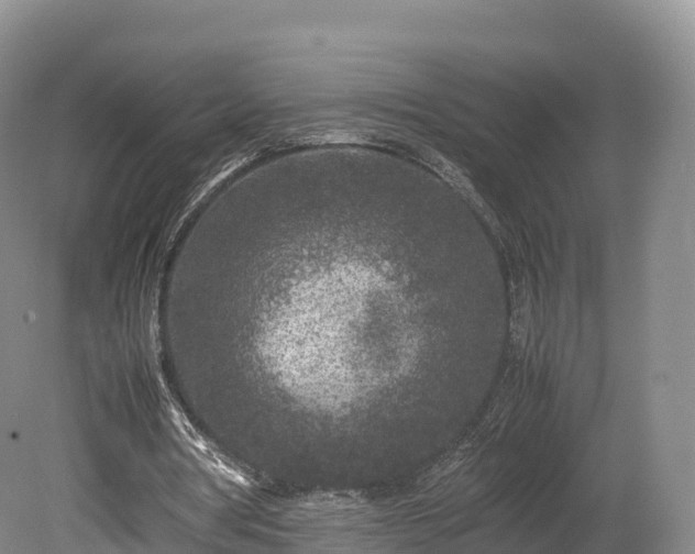 X0000080680386200612221148