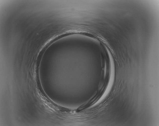 X0000080680387200612221148