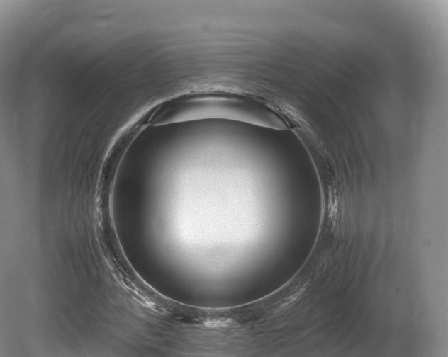 X0000080680388200612221148