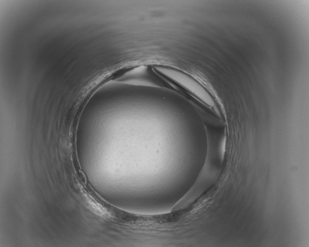 X0000080680389200612221148