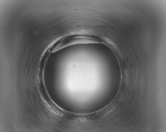 X0000080680392200612221148