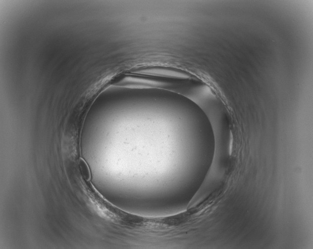 X0000080680393200612221148