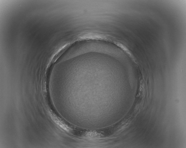 X0000080680399200612221148