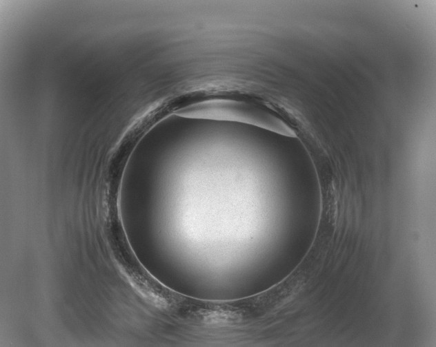 X0000080680400200612221148