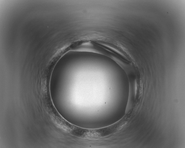 X0000080680403200612221148