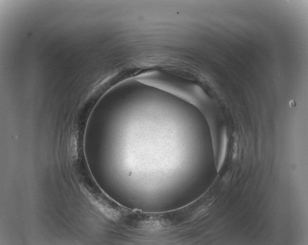 X0000080680404200612221148