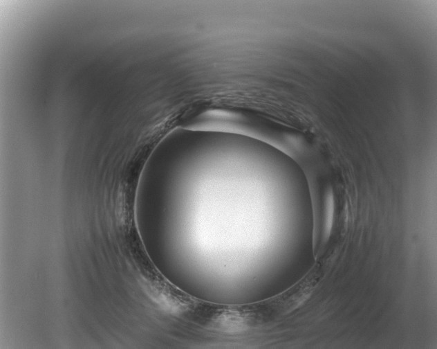 X0000080680416200612221148