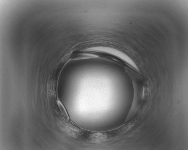 X0000080680421200612221147