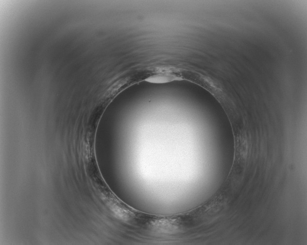 X0000080680422200612221147