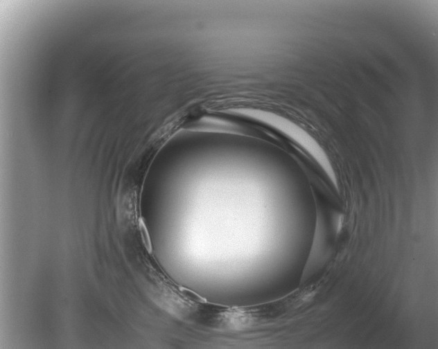 X0000080680425200612221147