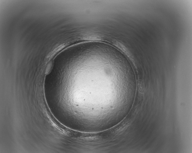 X0000080680433200612221146