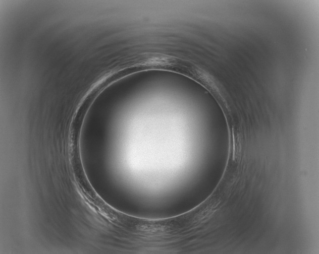 X0000080680435200612221146