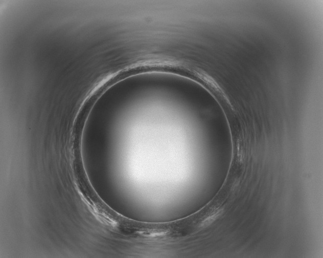 X0000080680436200612221147