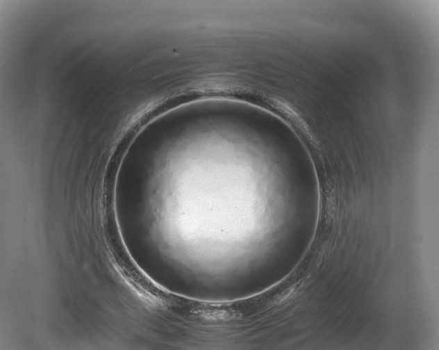 X0000080680439200612221147