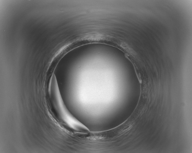X0000080680440200612221147