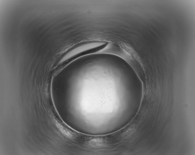 X0000080680441200612221147