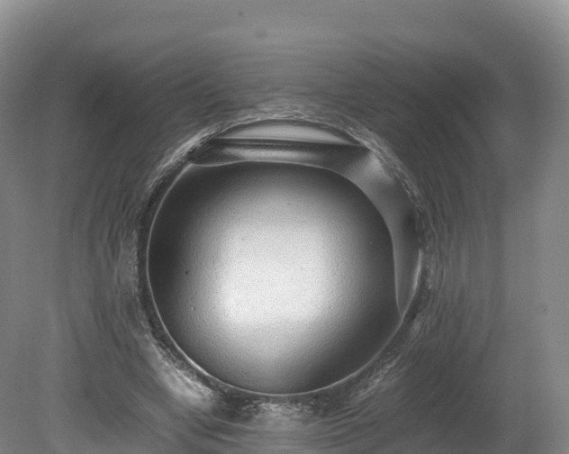 X0000080680442200612221147
