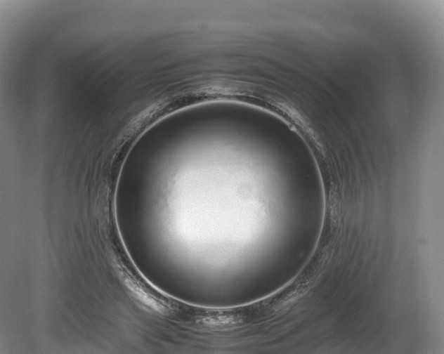 X0000080680445200612221147