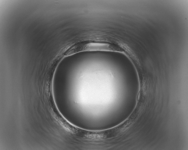 X0000080680449200612221147