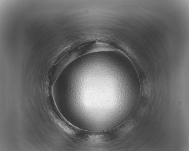 X0000080680450200612221147