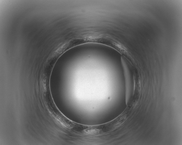X0000080680452200612221147