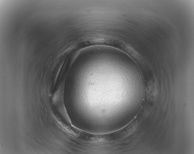 X0000080680454200612221147
