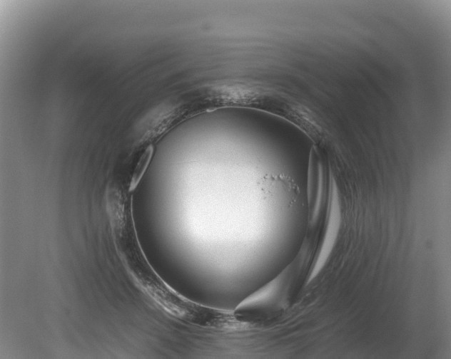 X0000080680456200612221147