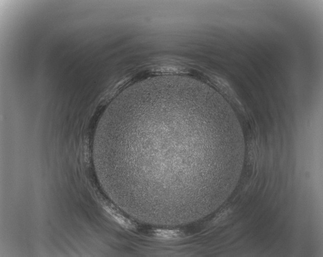 X0000080680457200612221147