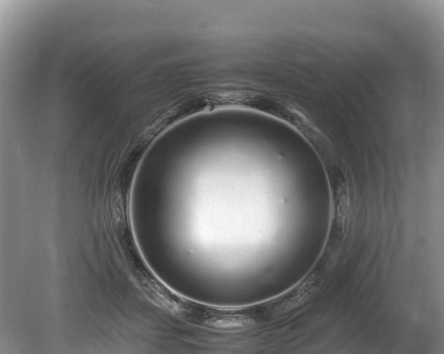 X0000080680459200612221147