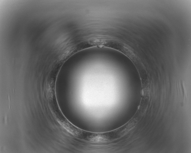 X0000080680460200612221147