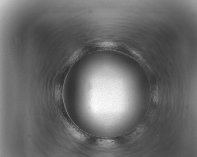 X0000080680476200612221147