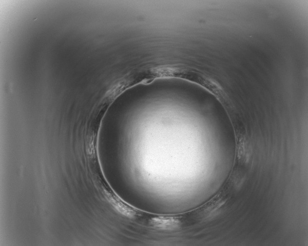 X0000080680477200612221147
