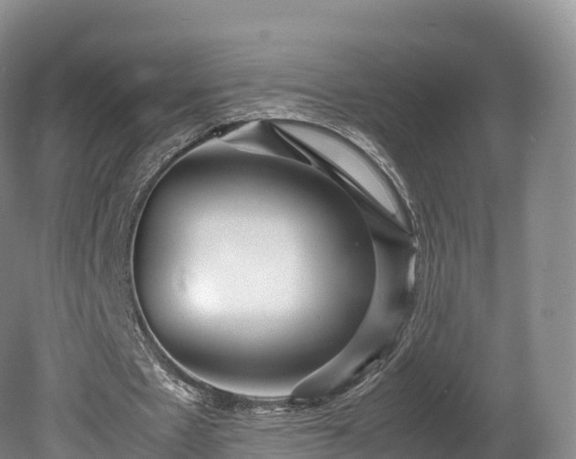 X0000080680481200612221146