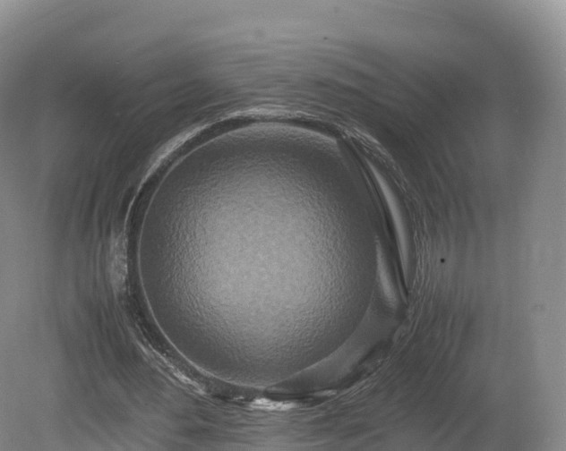 X0000080680484200612221146