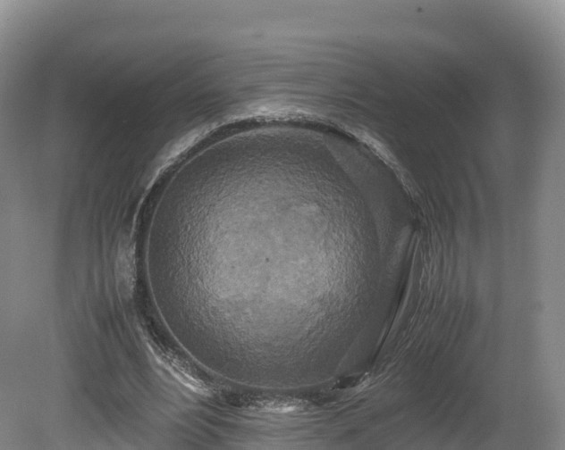 X0000080680488200612221146