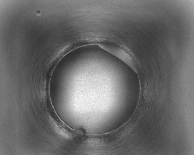 X0000080680490200612221146