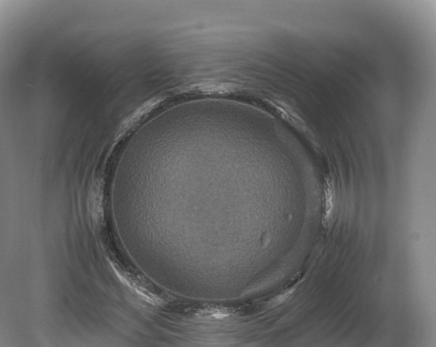 X0000080680492200612221146