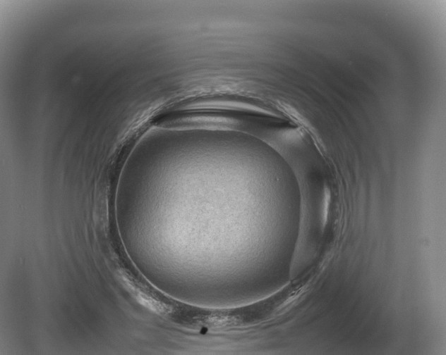 X0000080680493200612221146