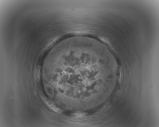 X0000080680495200612221146