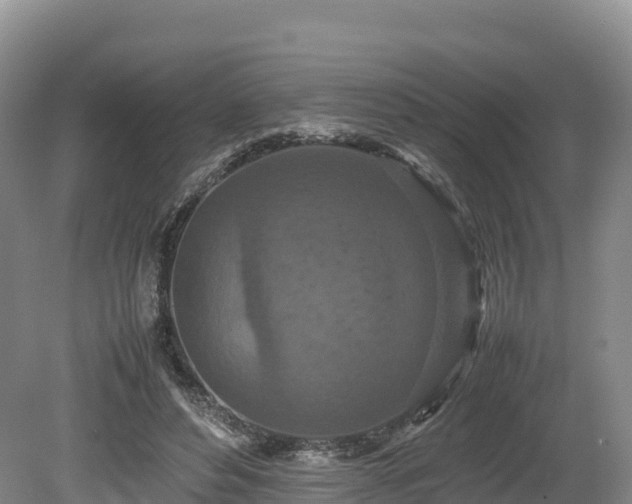 X0000080680496200612221146