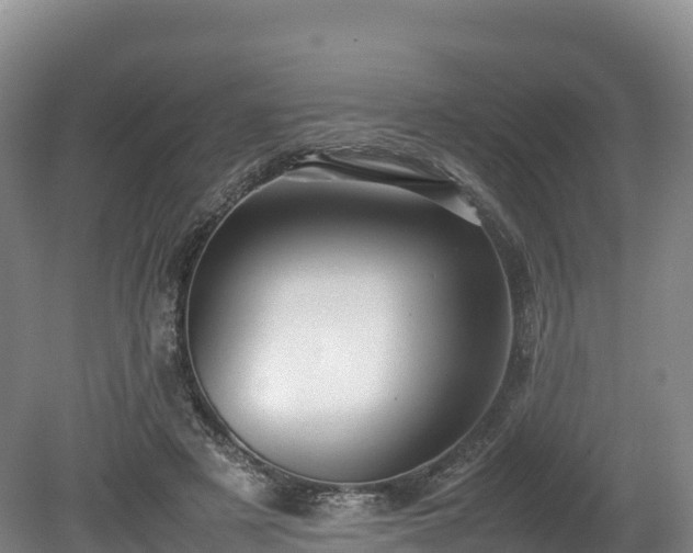 X0000080680497200612221146