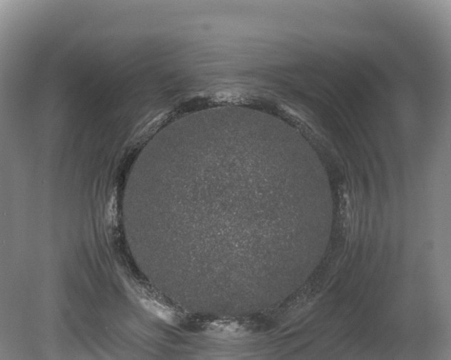X0000080680502200612221146