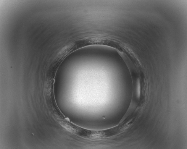 X0000080680505200612221146