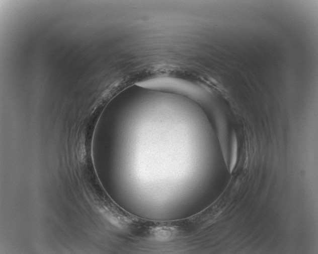 X0000080680508200612221146